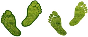 pieds-herbe-earthing